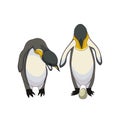 Family of Emperor penguins with an egg in Cartoon style on white isolated background, vector illustration for prints and stickers, Royalty Free Stock Photo